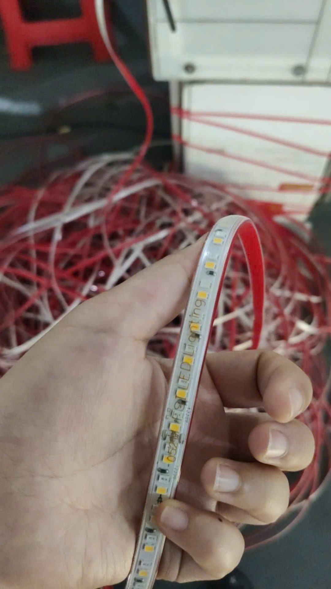 z5793173207875_d3c9681a5b32a4a261f83187bc108e62