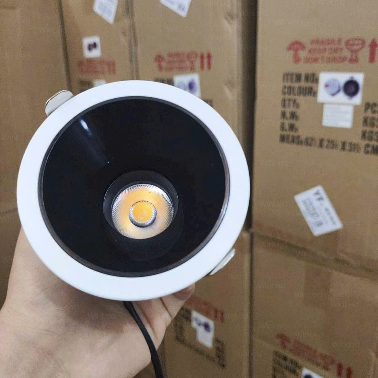 z5794484996211_ec108063675167bdebb4a0b83a91b3a6